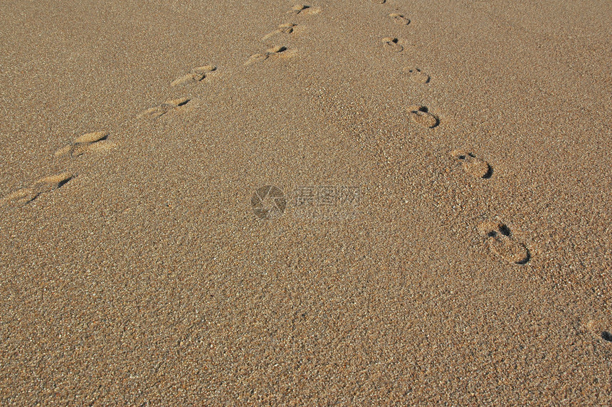 沙丘上的脚印冒险旅行孤独灵魂海滩旅行者游客沙漠精神假期图片