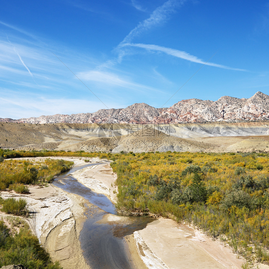 犹他州的棉花林峡谷旅游溪流沙漠植物假期照片生命环境植被荒野图片
