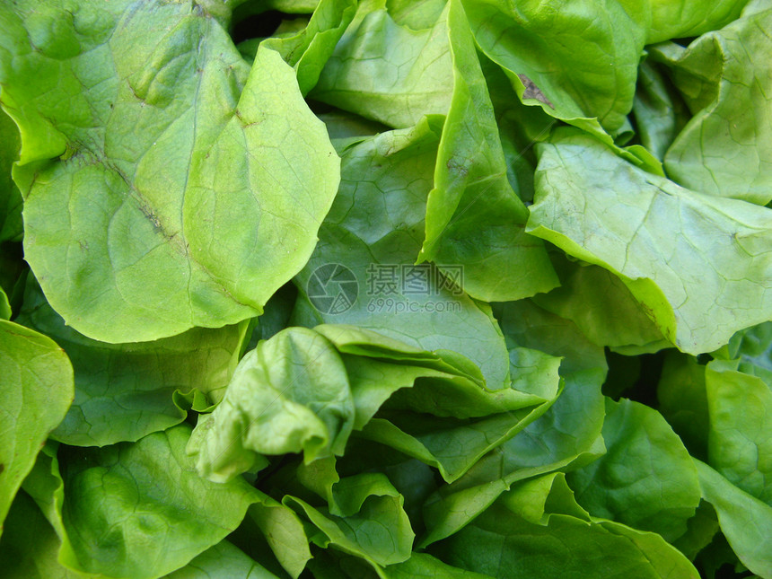绿色沙拉节食营养健康饮食市场食物维生素蔬菜树叶图片