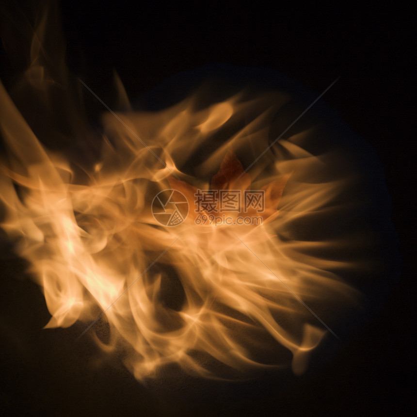 火焰中的梅叶照片燃烧烧伤橙子图片