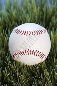 草地上的棒球照片运动闲暇场地静物背景图片