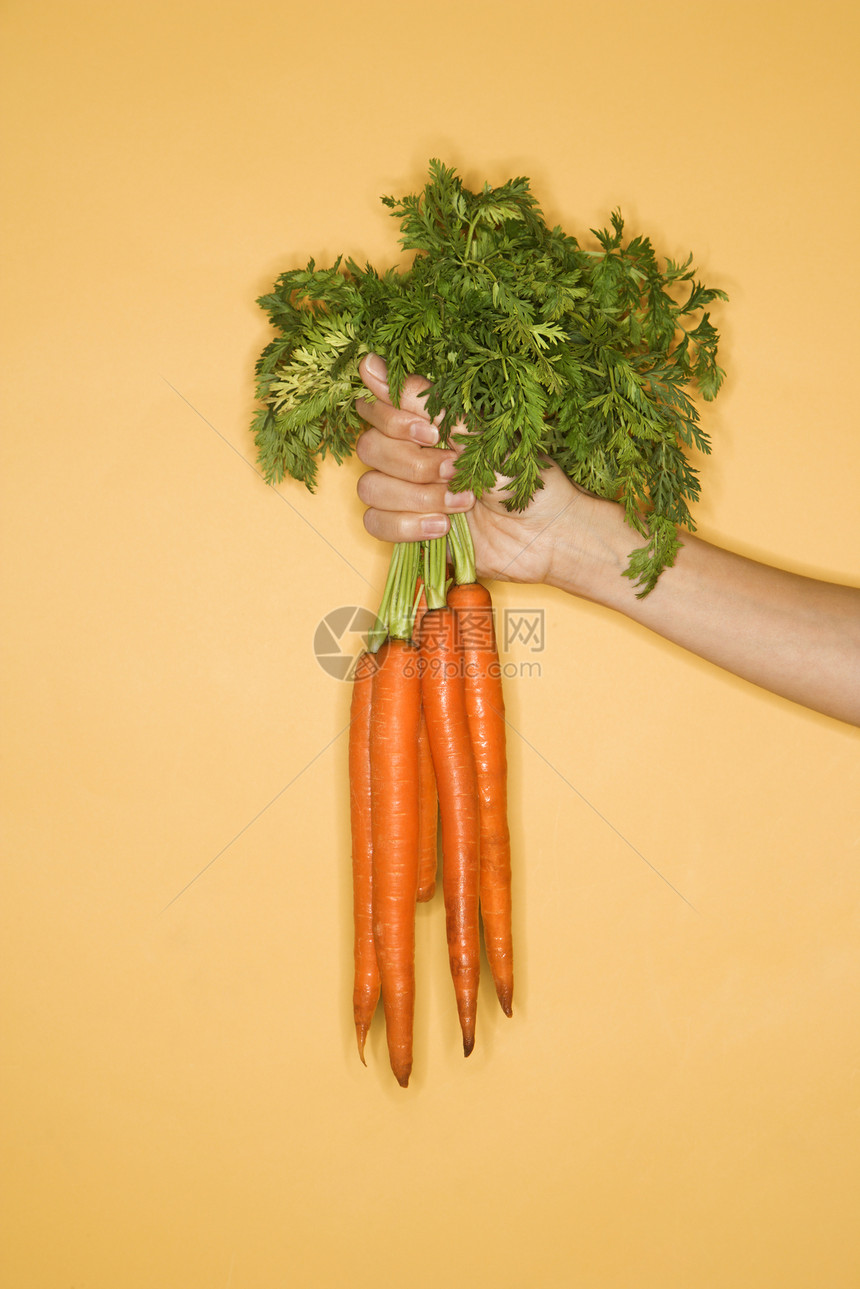 手拿着胡萝卜蔬菜女士萝卜黄色食物营养饮食图片