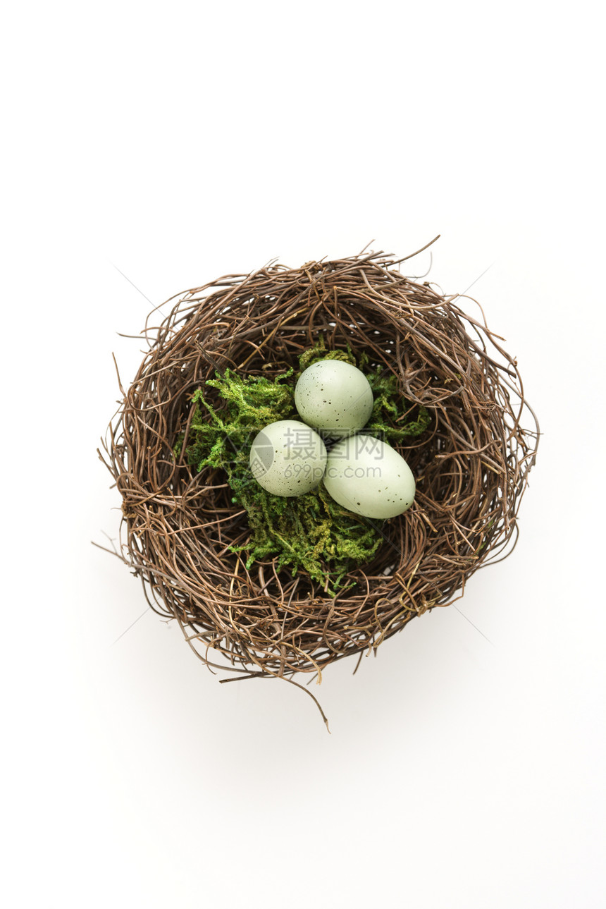鸡蛋在巢里计划家庭不育症鸟蛋动物静物安全储备金生育力生长图片