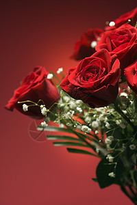 一束红玫瑰玫瑰静物花束香味花瓣红色背景