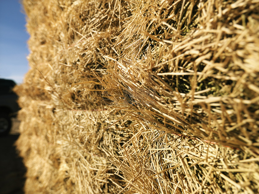 干草的巴莱斯草垛稻草农业收成水平农场图片