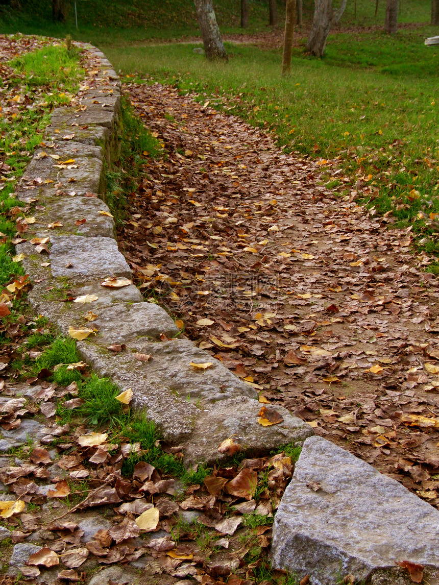 秋季地貌树叶石头季节树木绿色公园棕色远足图片