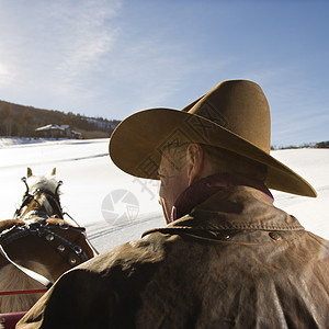 男人驾驶马匹高清图片