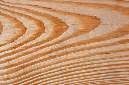 纹质粮食木头谷物木板单板木纹背景图片