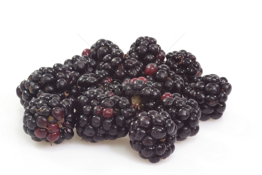 黑莓食物团体衬套水果早餐覆盆子白色花园采摘黑色图片