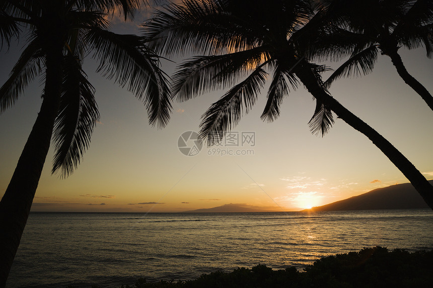 热带夏威夷日落图片