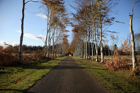 城堡的路径绿色天空蓝天蓝色途径小路树木背景图片