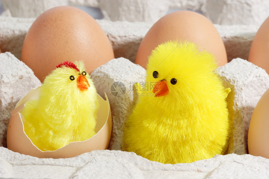 两个小鸡蛋白纸板饮食盒子卵子营养蛋壳蛋黄食物家禽图片