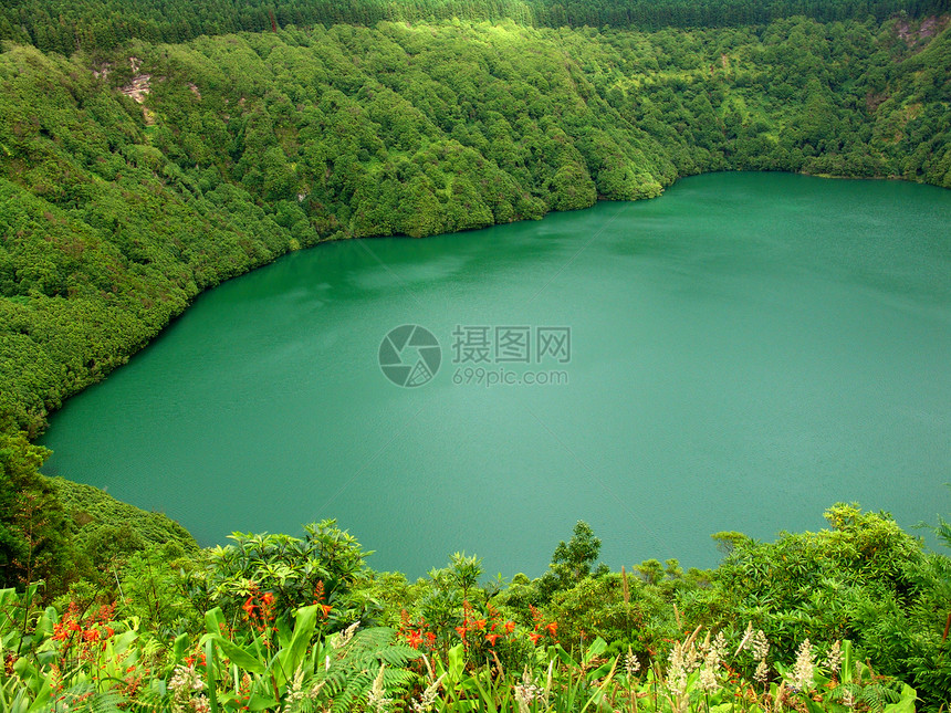 湖植被山脉花朵树木衬套图片