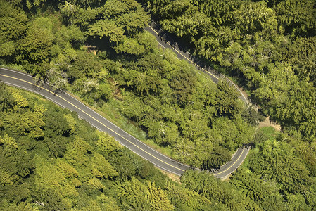 加州1号公路国家弯曲的高清图片