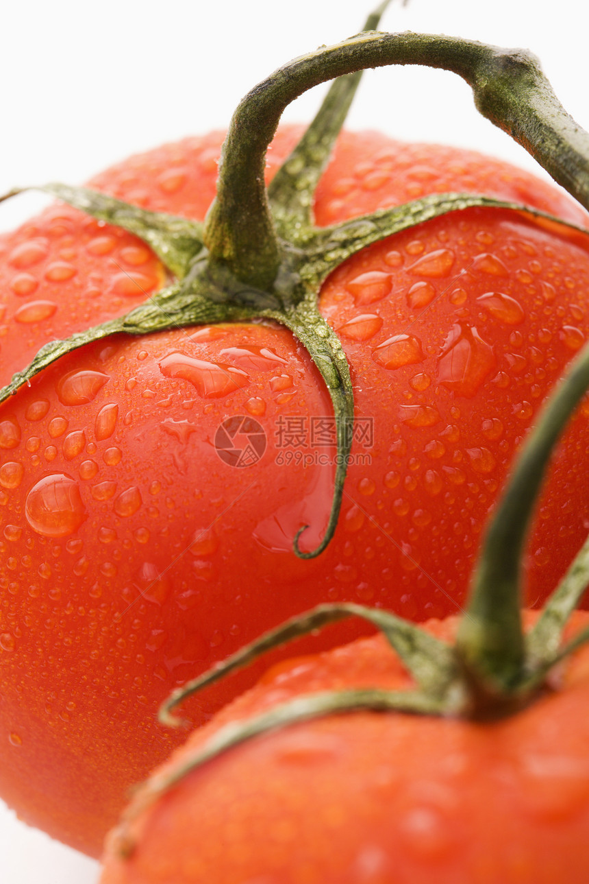番茄还是活生生的营养食物静物美食水果生产农业蔬菜红色工作室图片