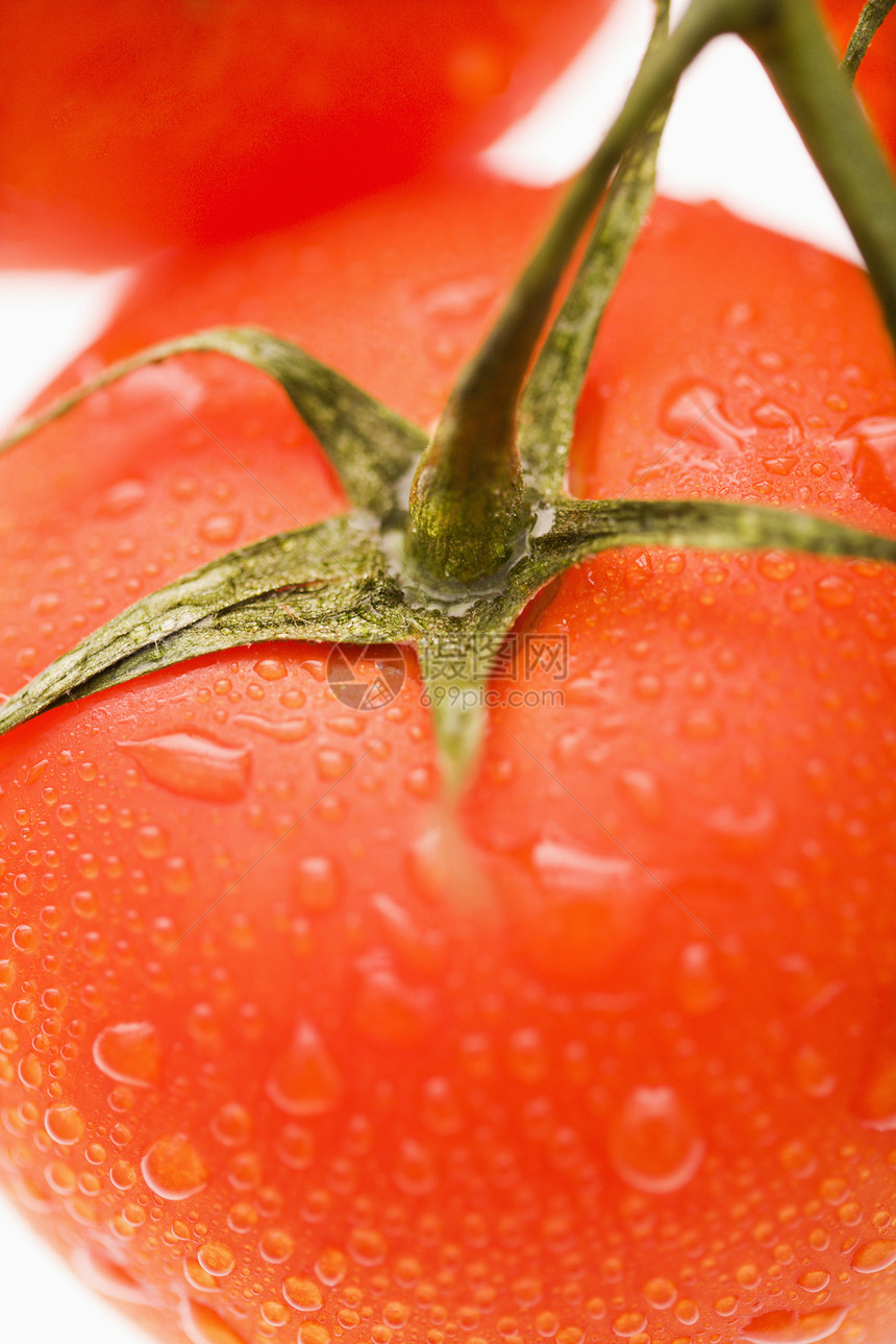 新鲜西红柿红色工作室食物葡萄赏金美食静物生产营养水果图片
