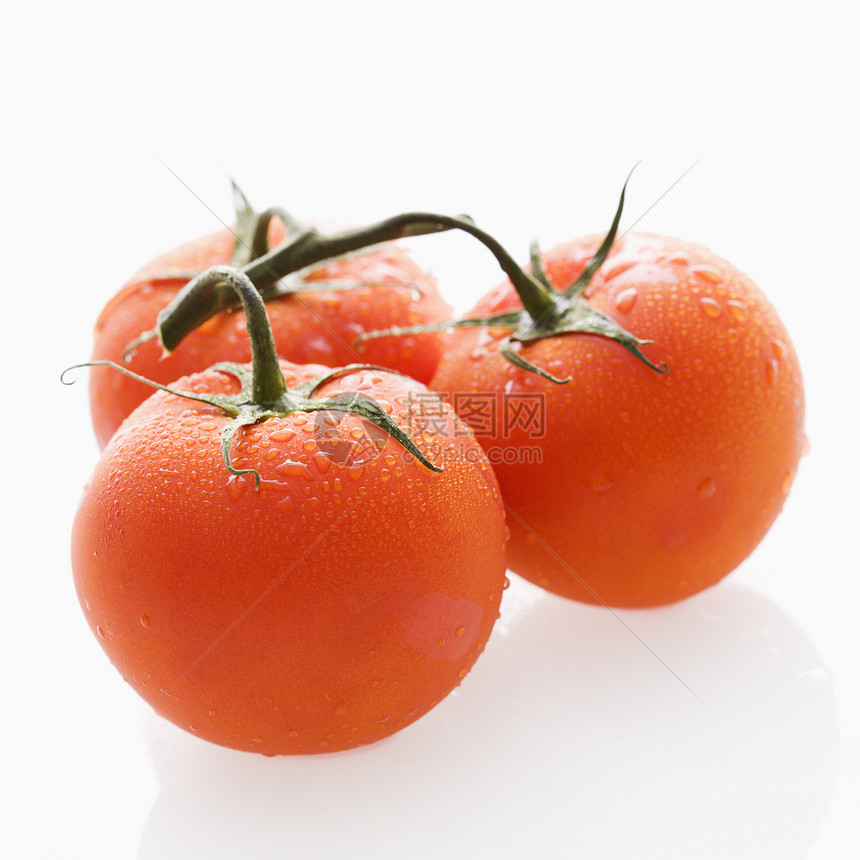 番茄还是活生生的营养饮食对象红色美食工作室生产赏金收成圆形图片