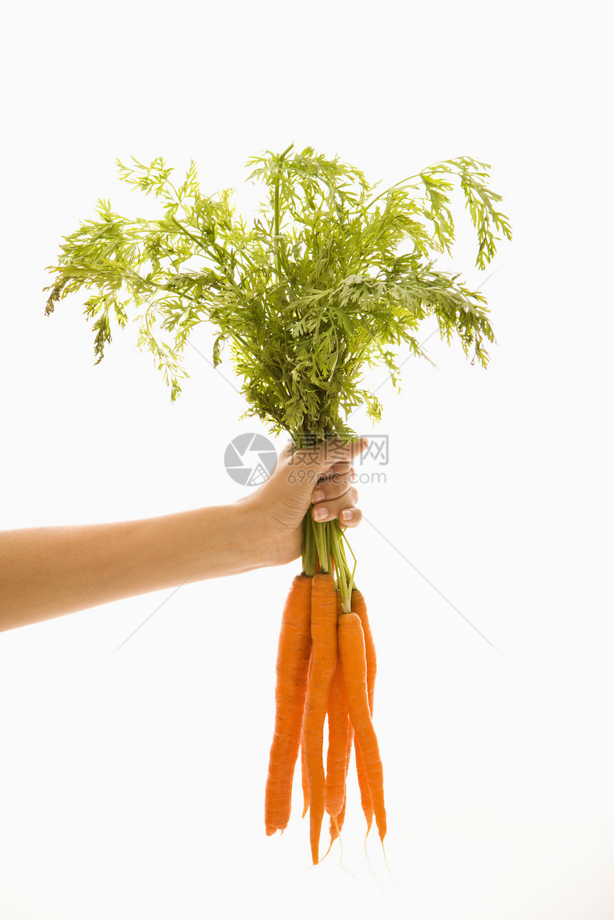 手拿着胡萝卜生产橙色赏金蔬菜农业食物团体女士静物女性图片