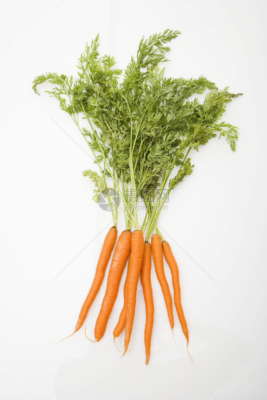 白色背景的胡萝卜食物萝卜团体农业收成赏金工作室美食营养根菜图片