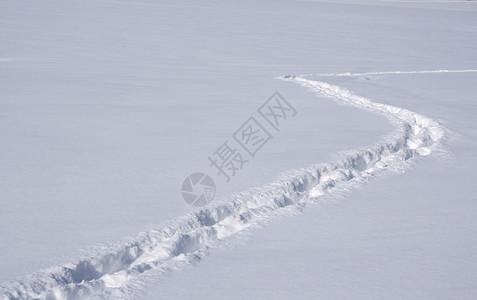 雪上的轨迹背景图片