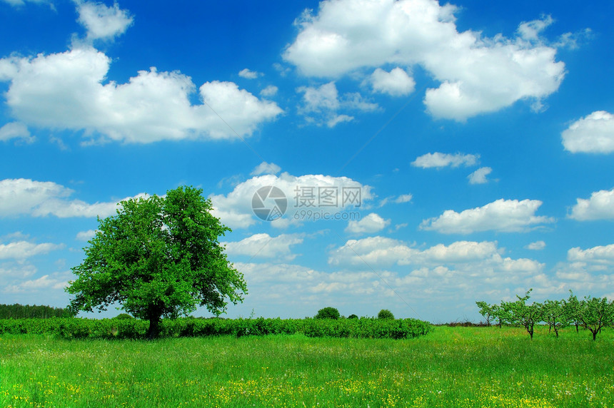 夏季风景农业季节性乡村草地农村地平线蓝色农场孤独天空图片