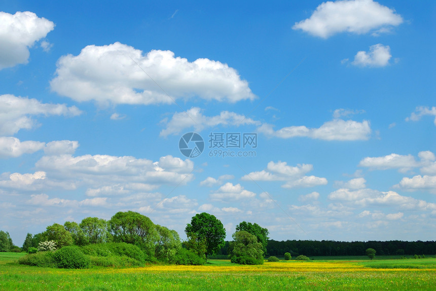 春季风景农业场景植物群场地农村环境农场蓝色孤独天空图片