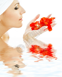 水中的红花瓣3花朵女性女孩治疗康复外貌女士保健芳香中心背景图片