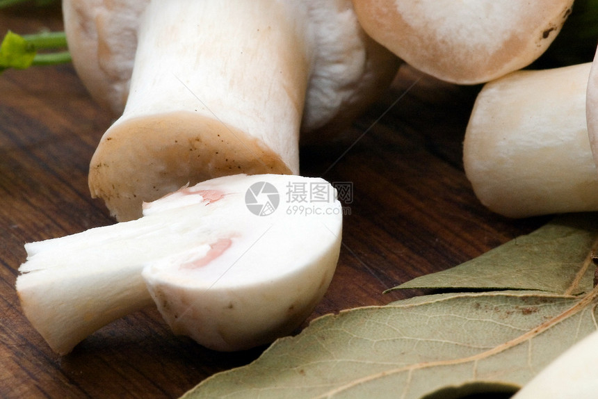 蘑菇午餐叶子食物美食奶油树叶香菜白色褐色盘子图片