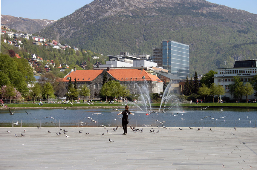 卑尔根喷泉鸟类图书馆男生城市鸽子图片