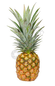 菠萝营养蔬菜水果凤梨农业食物热带维生素背景图片