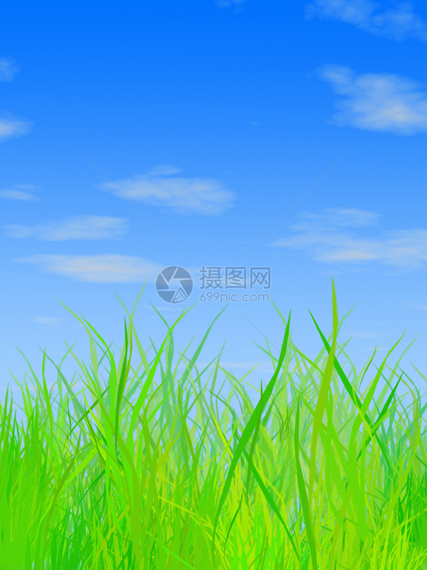 草和天空乡村农村牧场场地绿色晴天草地图片