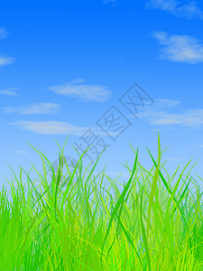 草和天空乡村农村牧场场地绿色晴天草地背景图片