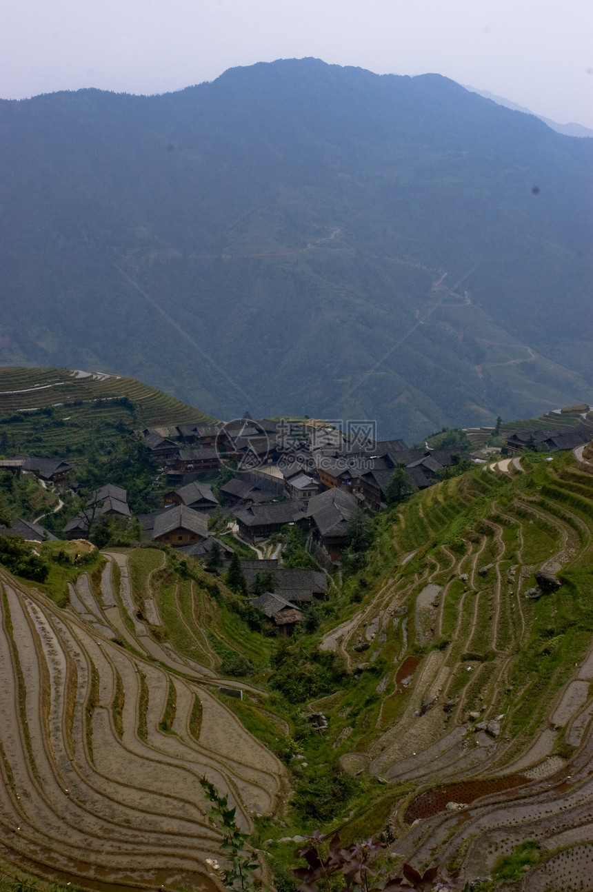 稻田脊台旅行山脉旅游龙神梯田生长地方城市场地图片