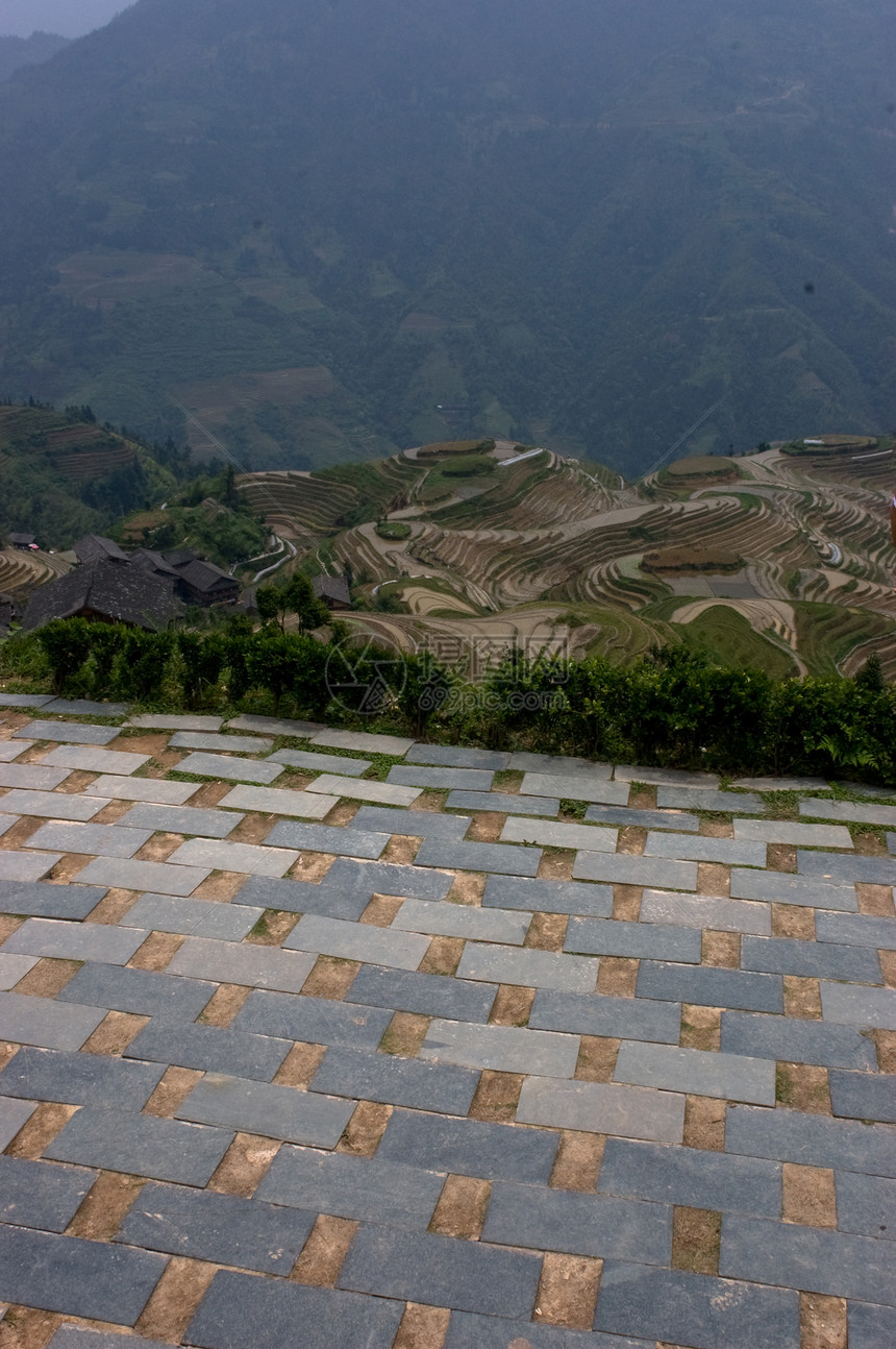 稻田地方场地城市山脉乡村农业旅行脊台梯田龙神图片