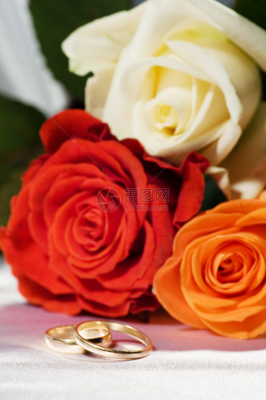 玫瑰和环戒指庆典柔软度花瓣卡片脆弱性金子婚礼珠宝礼物图片