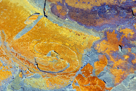 描述颜色页岩的旗石橙子单线矿物地质学石板苔藓宏观效果质感报告背景