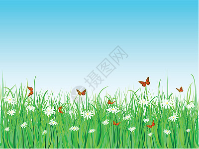 蝴蝶和鲜花花朵昆虫插图背景图片