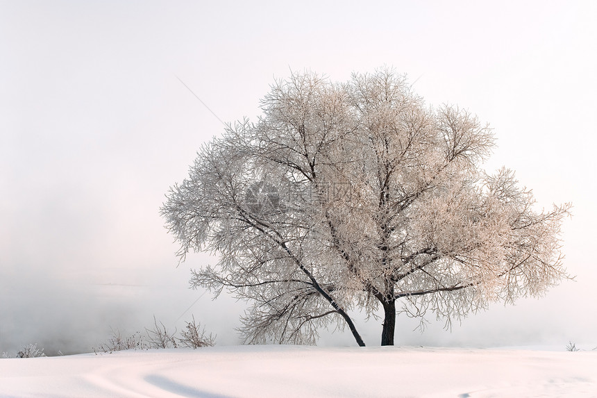冬季风景国家季节性天空季节白色仙境太阳图片
