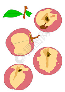 桃子图标桃子树叶褐色味道绿色插图营养枝条食物绘画背景