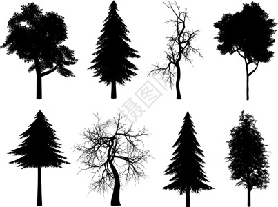 树木树艺术夹子插图黑色公园叶子背景图片