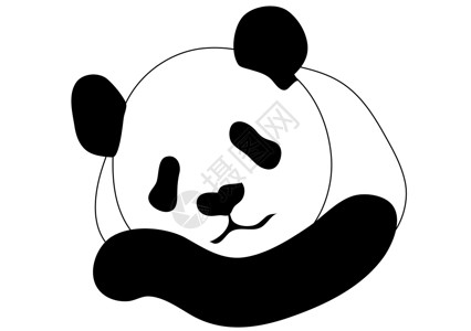 熊猫野生动物动物食肉黑色白色哺乳动物动物园背景图片