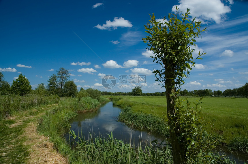 荷兰荷兰语景观蓝色森林风景天空场地绿色溪流树木草地草原图片