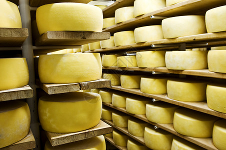 架子中的奶酪背景图片