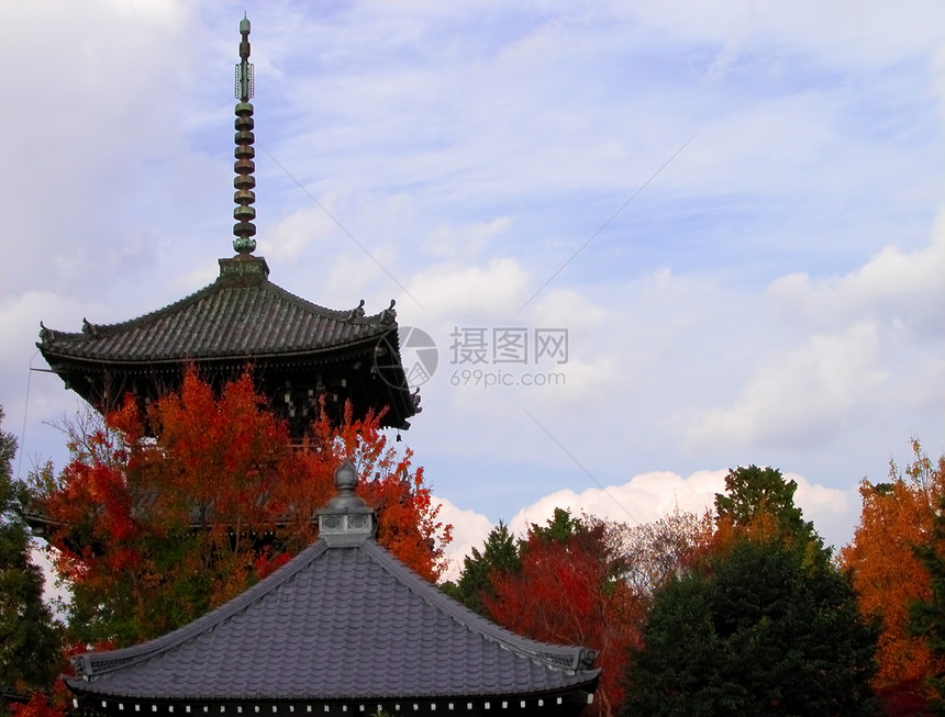 屋顶宗教叶子季节地标明信片建筑树木寺庙旅行旅游图片