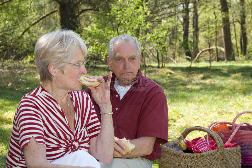 尝着口味的咬老年毯子夫妻阳光男人婚姻男性闲暇成人野餐图片