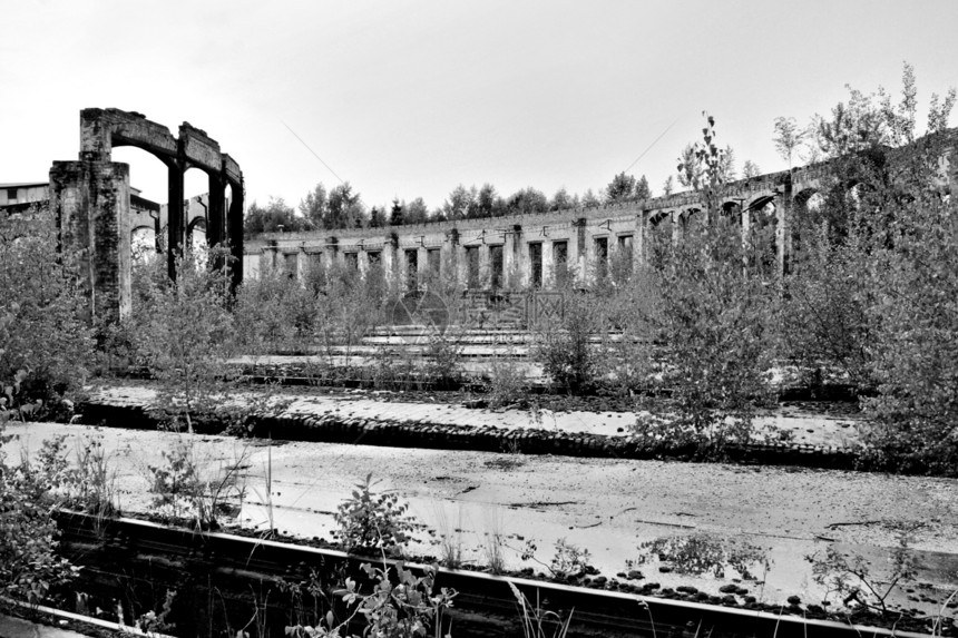 工业废墟铁路体重腐烂植物黑色汉堡灌木丛机车伤害铁轨图片