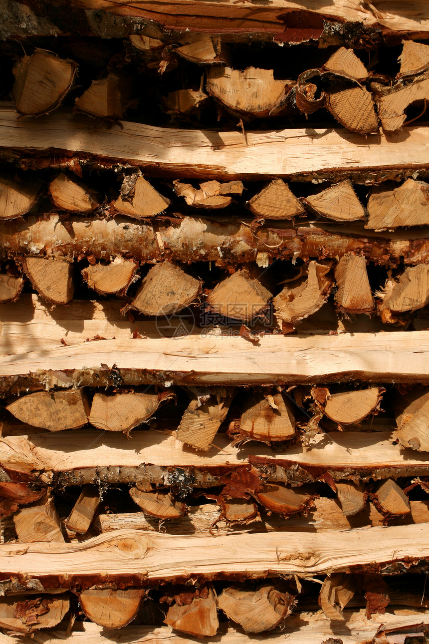 木叶山毛榉木材日志木材业木头图片