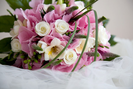 婚礼花花新娘庆典花束玫瑰绣球花背景图片