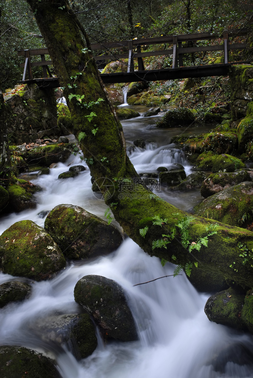 水瀑起源环境树木下雨植物生活跑步荒野运动岩石图片