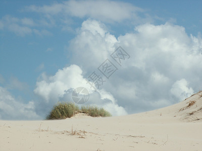 波罗的海沙丘背景图片